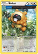 Bidoof (Alpha) (117/160) [XY  Primal Clash] Reverse Holofoil - Uncommon