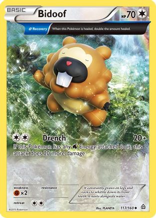 Bidoof (Alpha) (117/160) [XY  Primal Clash] - Uncommon