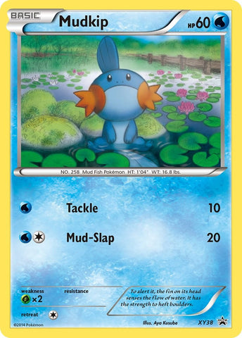 Mudkip - XY38 [PR - XY38]