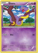Ekans (16) [XY Trainer Kit Sylveon & Noivern] - Common
