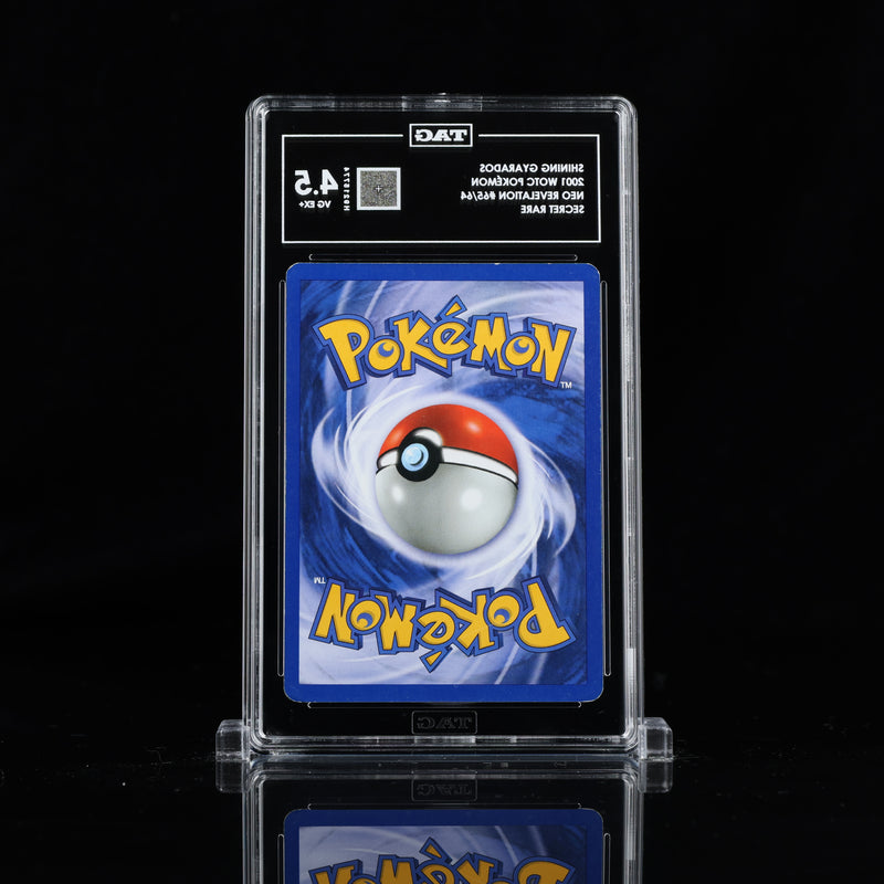 Shining Gyarados