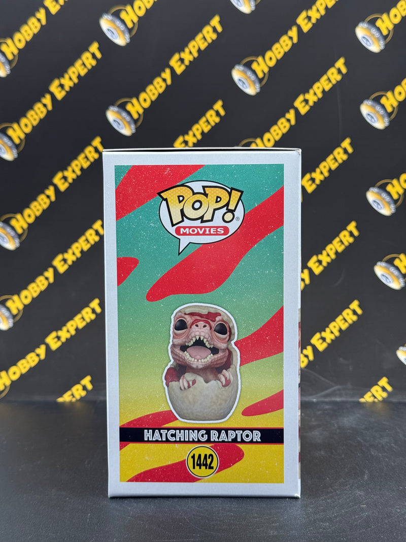Hatching Raptor
