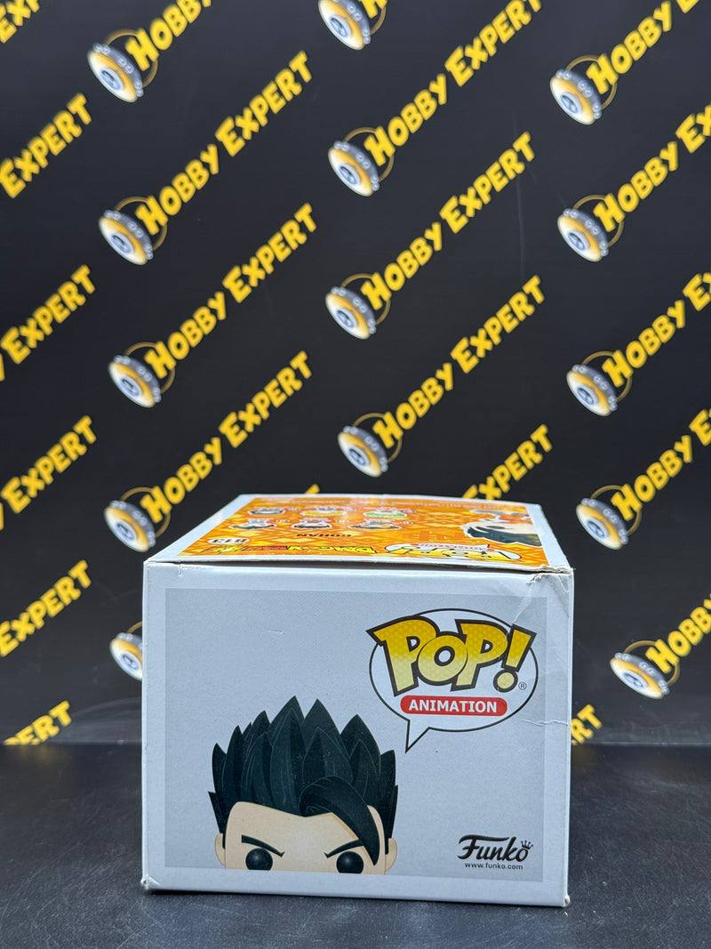 Gohan