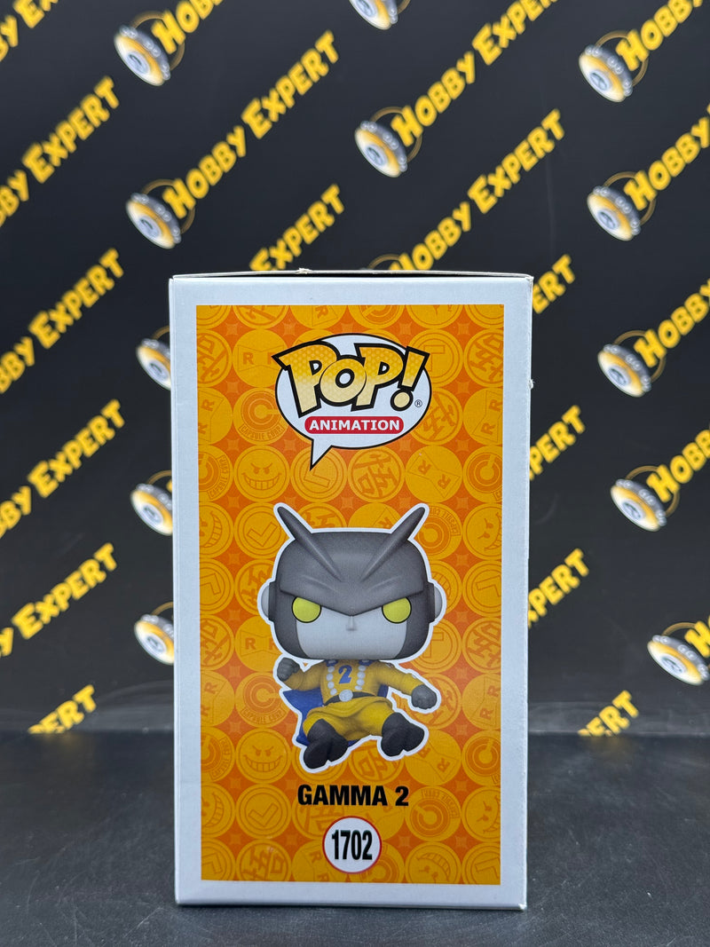 Gamma 2
