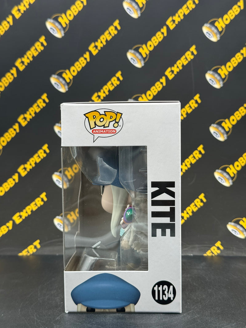 Kite