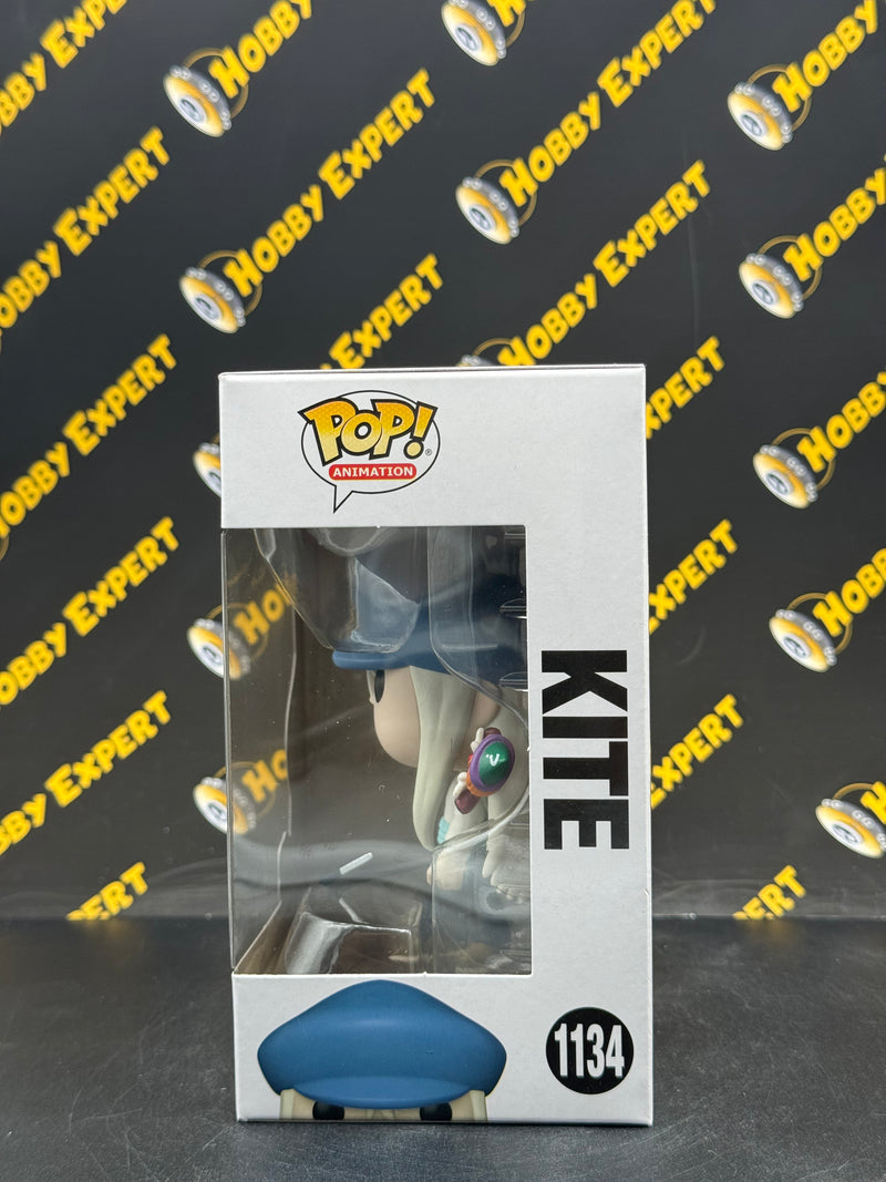 Kite