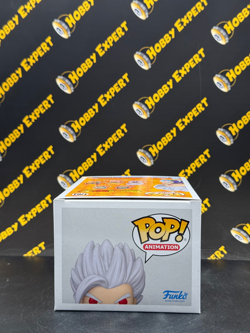Son Gohan Beast