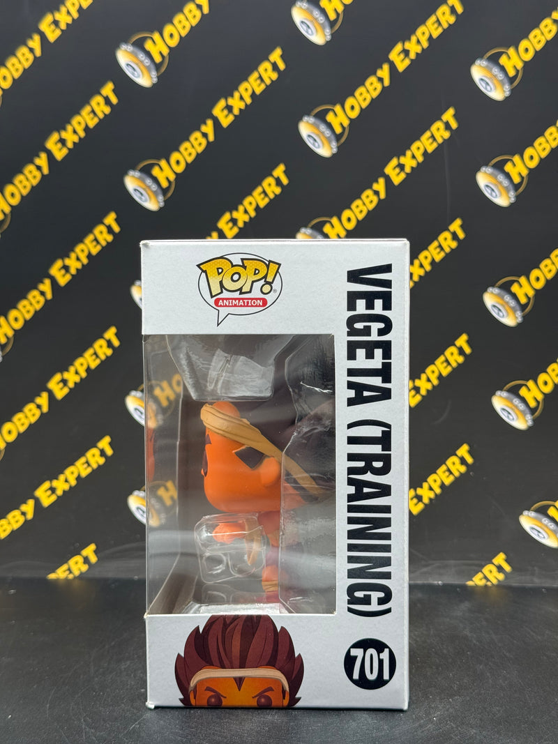 Vegeta Training