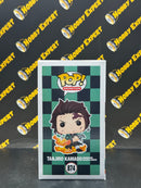 Tanjiro Kamado Hinokami Kagura Dance