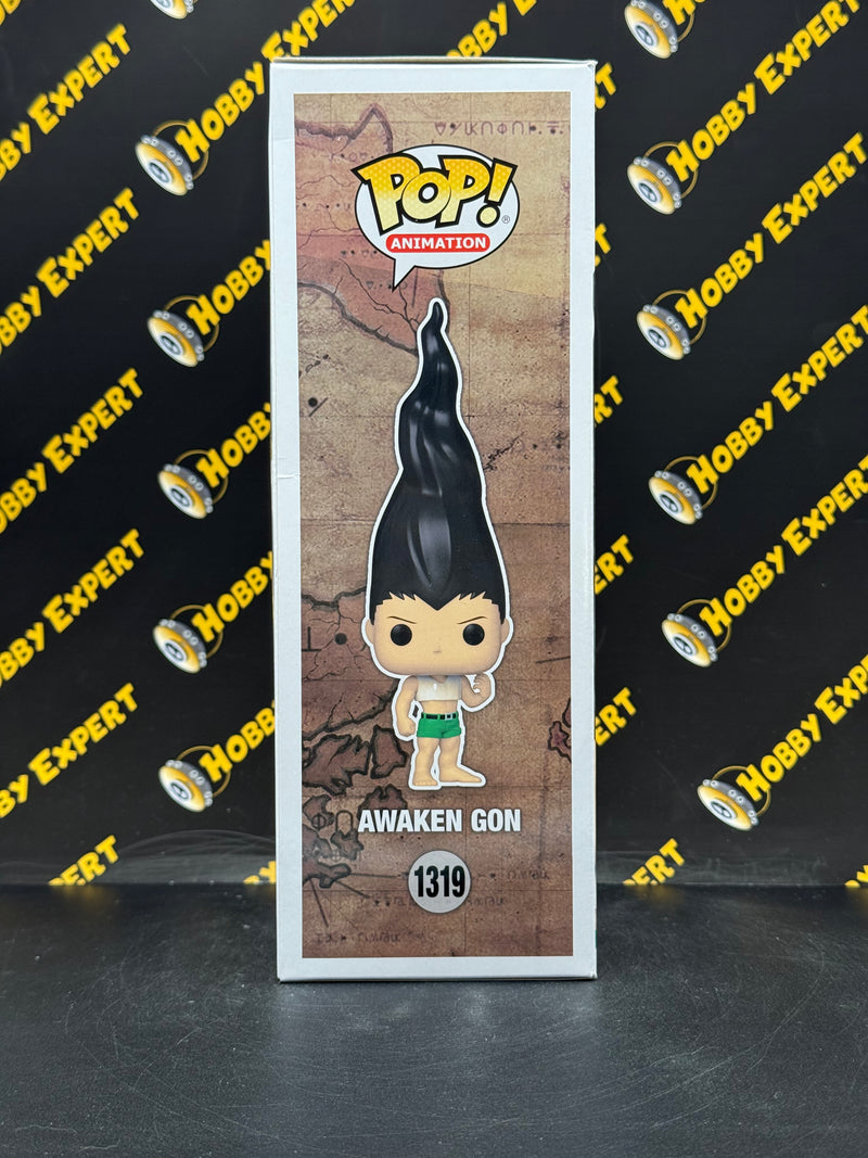 Awaken Gon