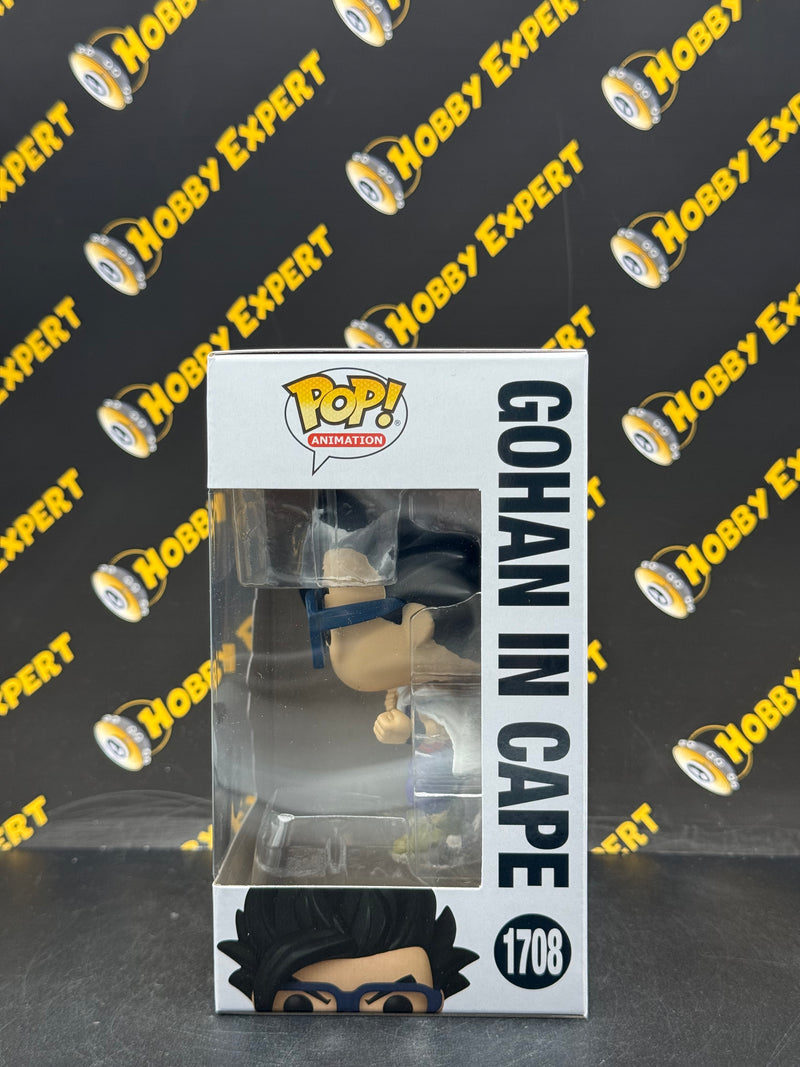 Gohan in Cape