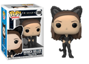 Monica Geller - Friends The Television Series