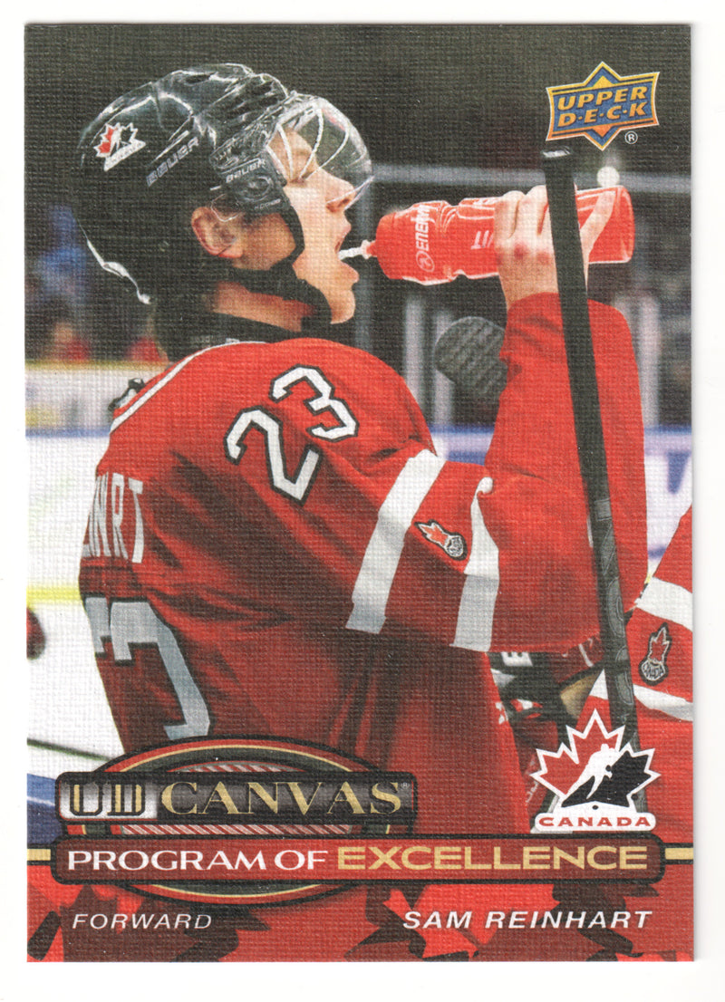 Sam Reinhart Program of Excellence