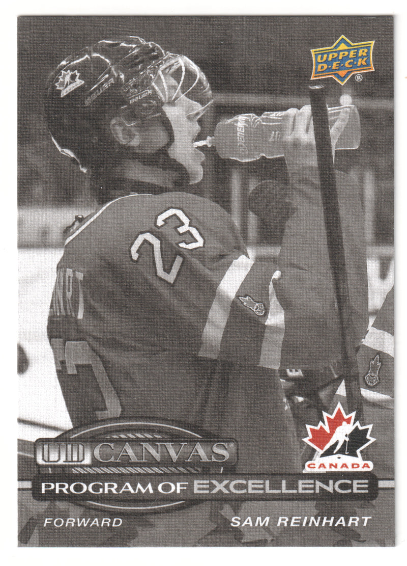 Sam Reinhart Program of Excellence Black