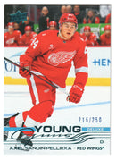 Axel Sandin-Pellikka Young Guns Deluxe /250 Detroit Red Wings