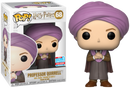 Professor Quirrell - Wizarding World Harry Potter