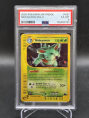 Nidoqueen Holo