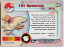Spearow