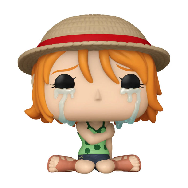 Nami One Piece 1772