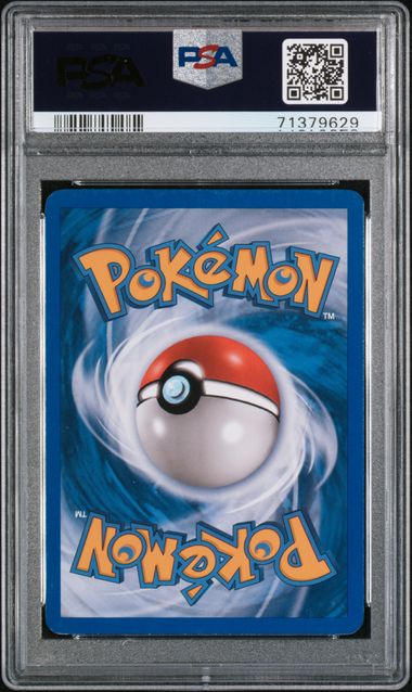 Torterra LV. X