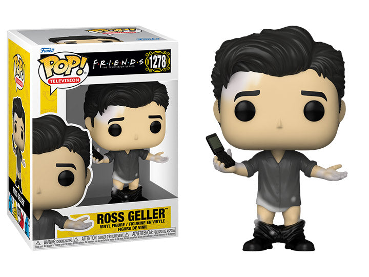 Ross Geller - Friends The Television Series