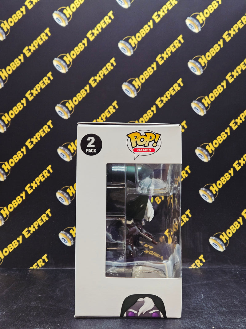 Drizzt Do'urden & Guenhwyvar - Dungeons & Dragons