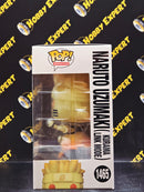 Naruto Uzumaki Kurama Link