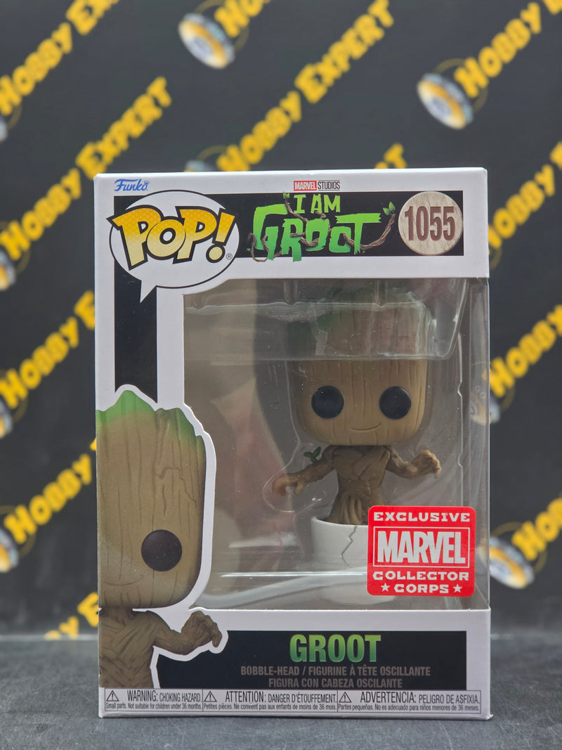 Groot