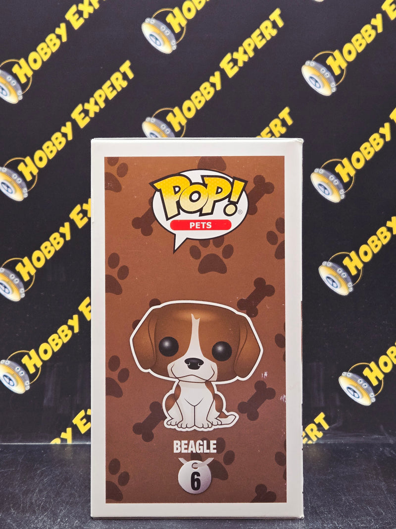 Beagle