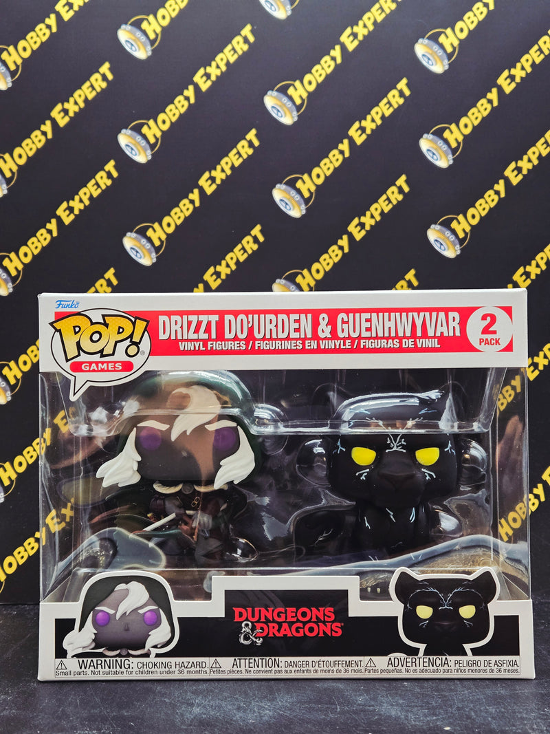 Drizzt Do'urden & Guenhwyvar - Dungeons & Dragons