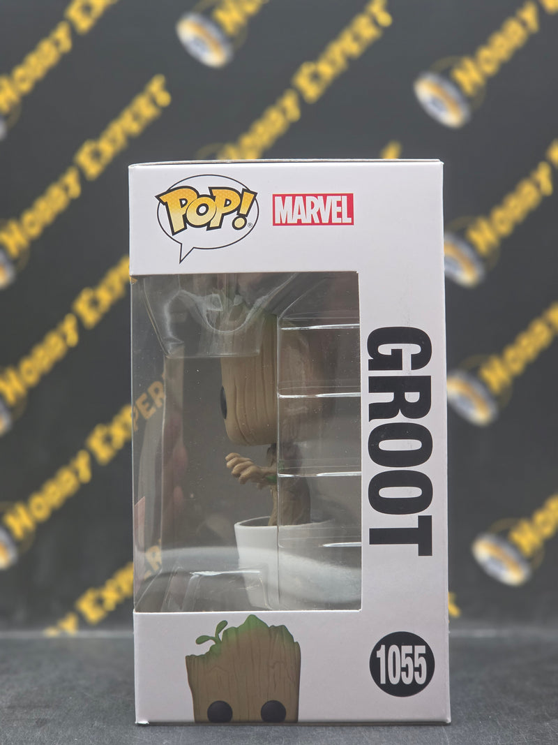 Groot