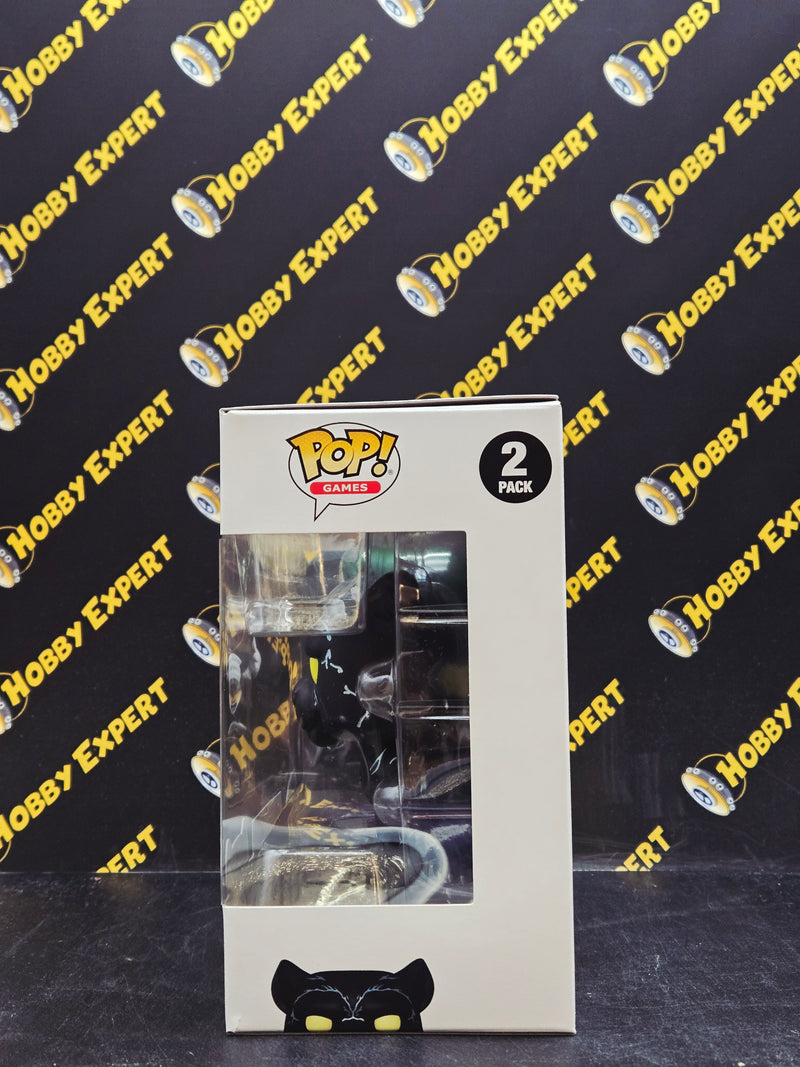 Drizzt Do'urden & Guenhwyvar - Dungeons & Dragons