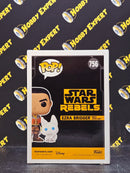 Ezra Bridger With Loth Cat