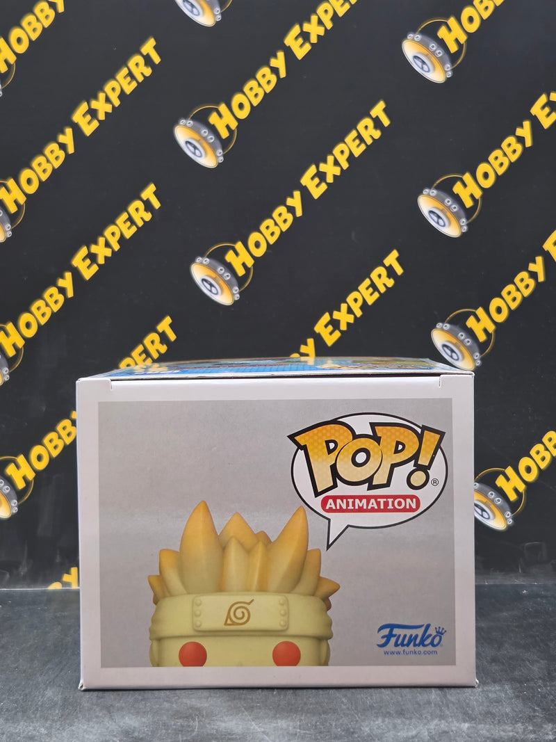 Naruto Uzumaki Kurama Link
