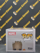 Groot