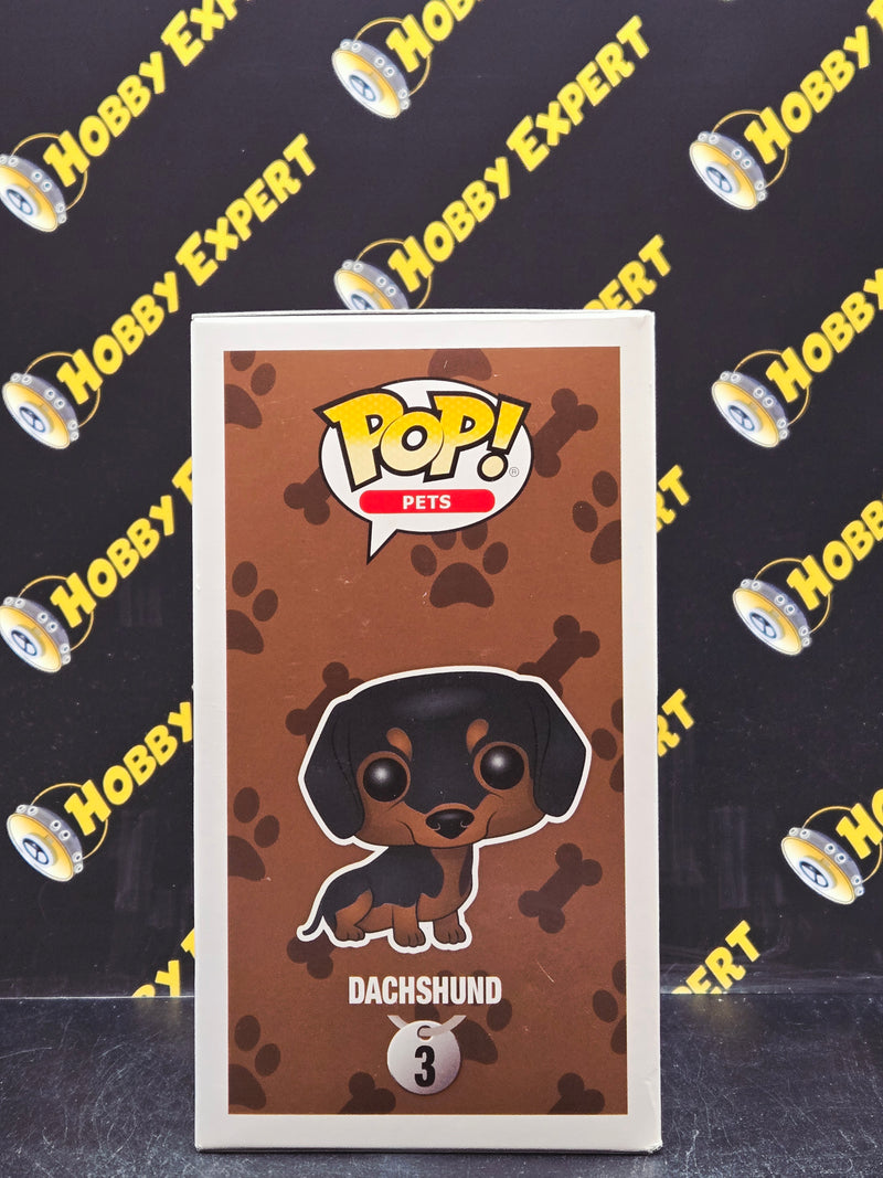 Dachshund