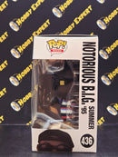 Notorious B.I.G. Summer 95