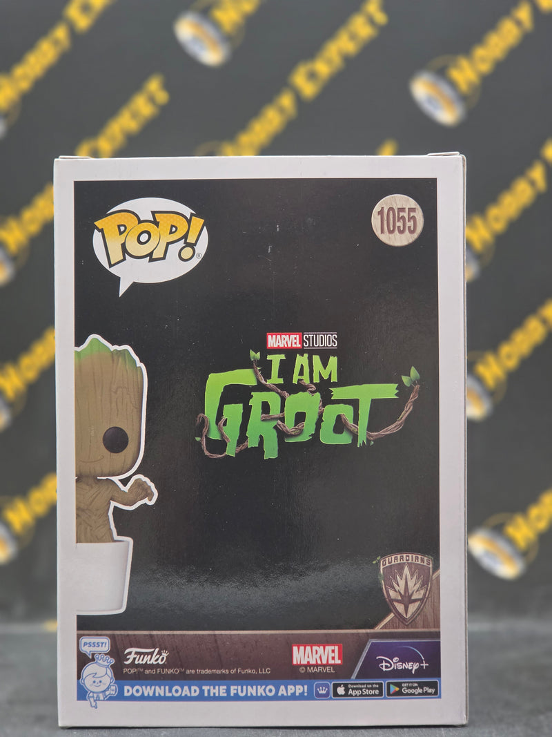 Groot