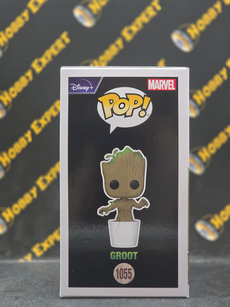 Groot