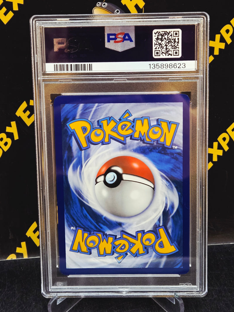 Furret Illustration Rare
