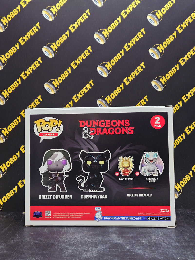 Drizzt Do'urden & Guenhwyvar - Dungeons & Dragons