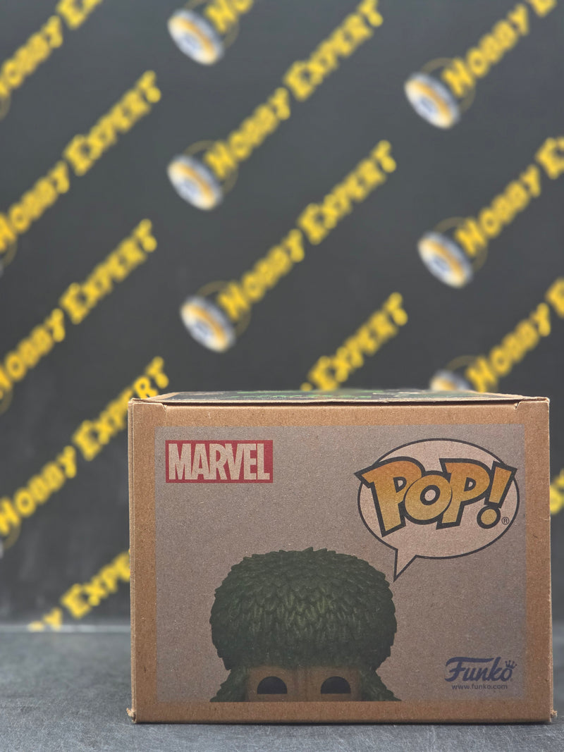 Poodle Groot