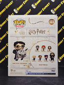 Harry Potter And Buckbeak