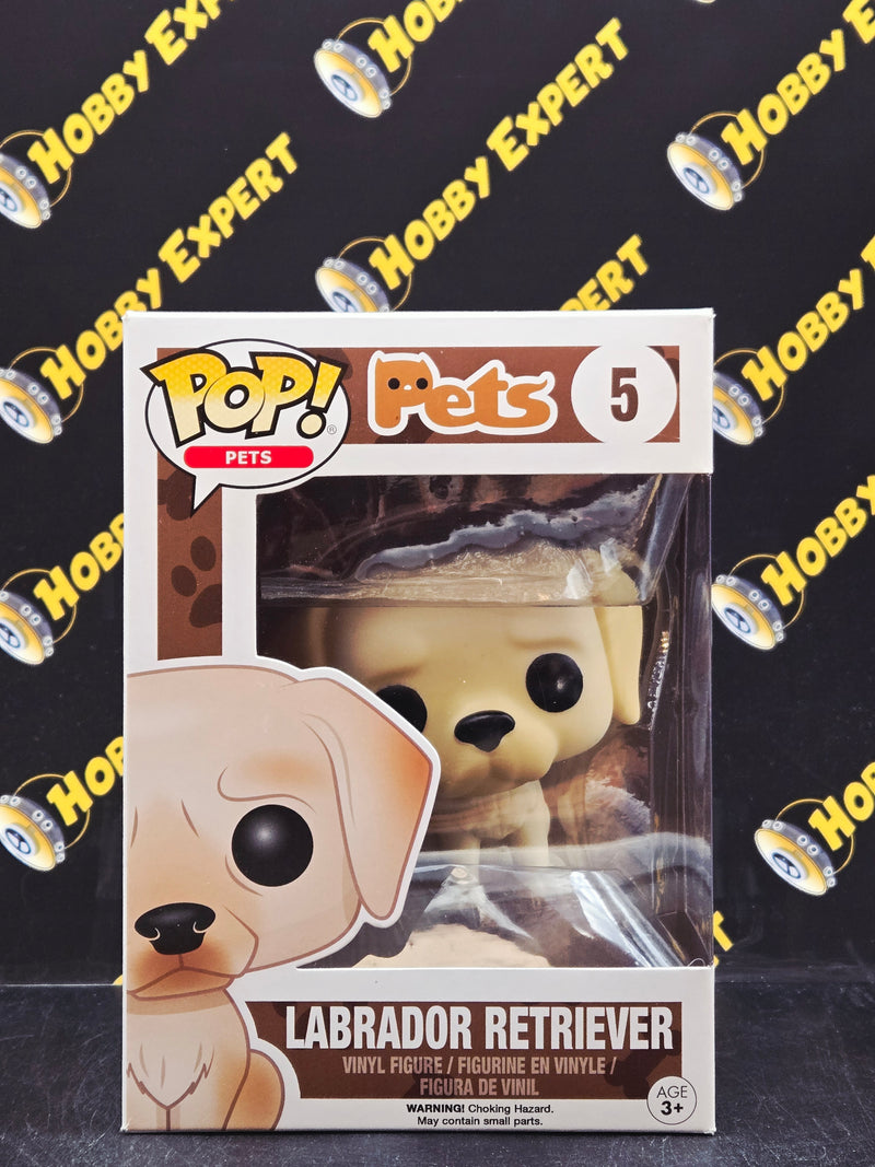 Labrador Retriever