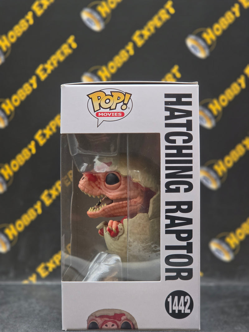 Hatching Raptor