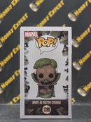 Groot As Doctor Strange