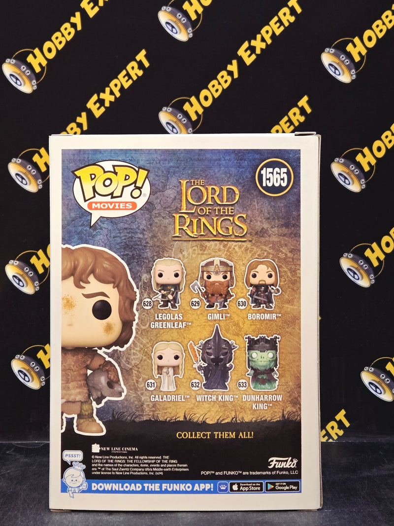 Frodo With Orc Helmet