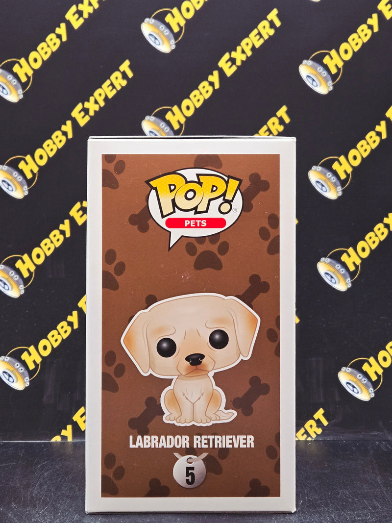 Labrador Retriever