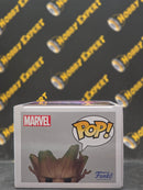 Alpha Groot