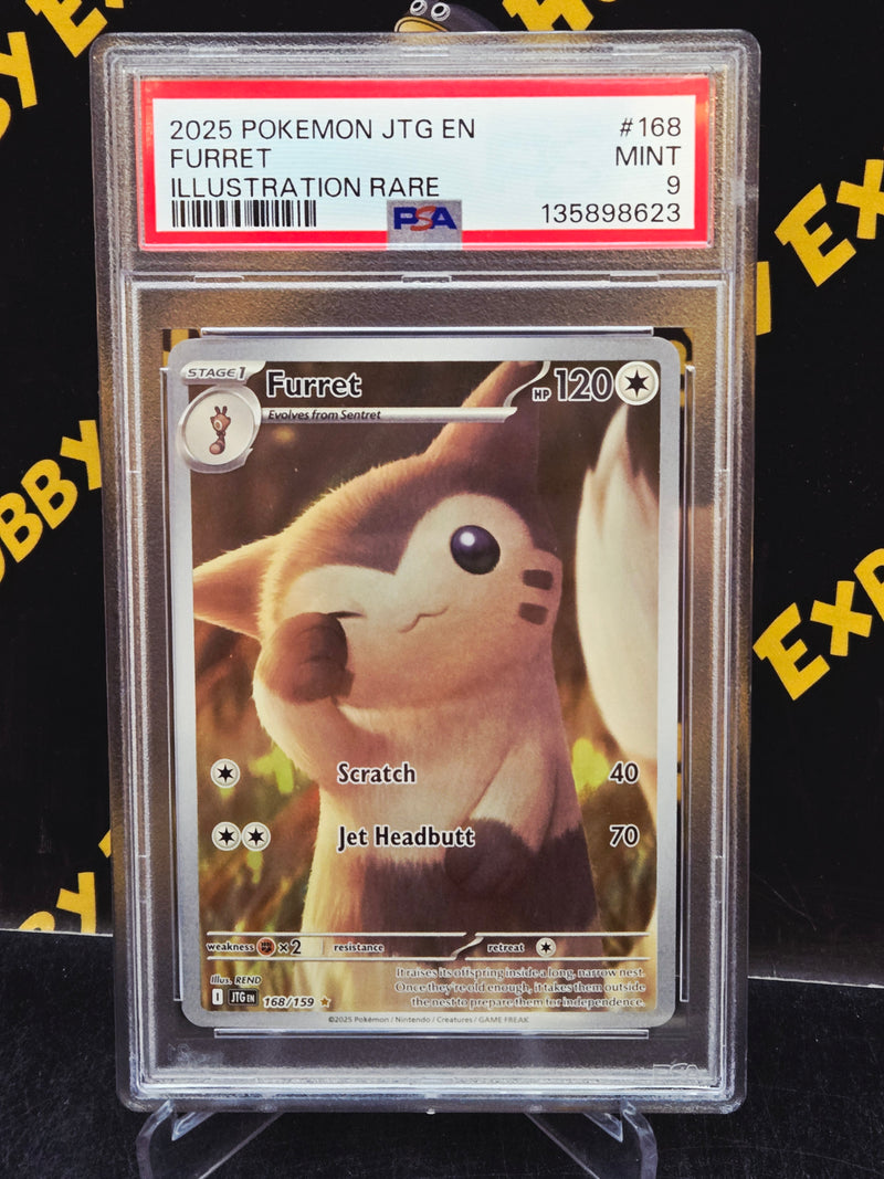 Furret Illustration Rare